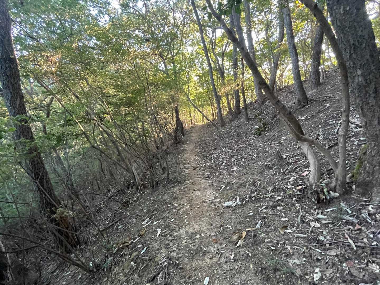 気温も登山道もいい感じ