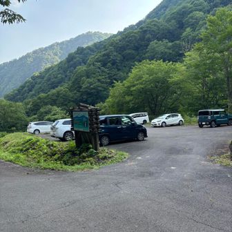 やっと駐車場に着きました。まだまだ沢山止まっています。