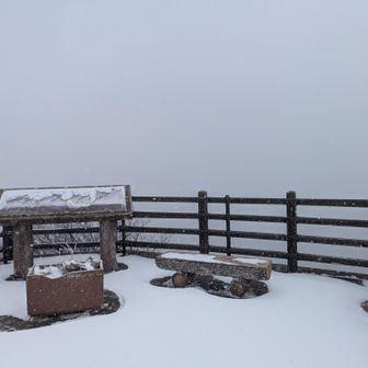 隣の展望台
やはり何も見えません