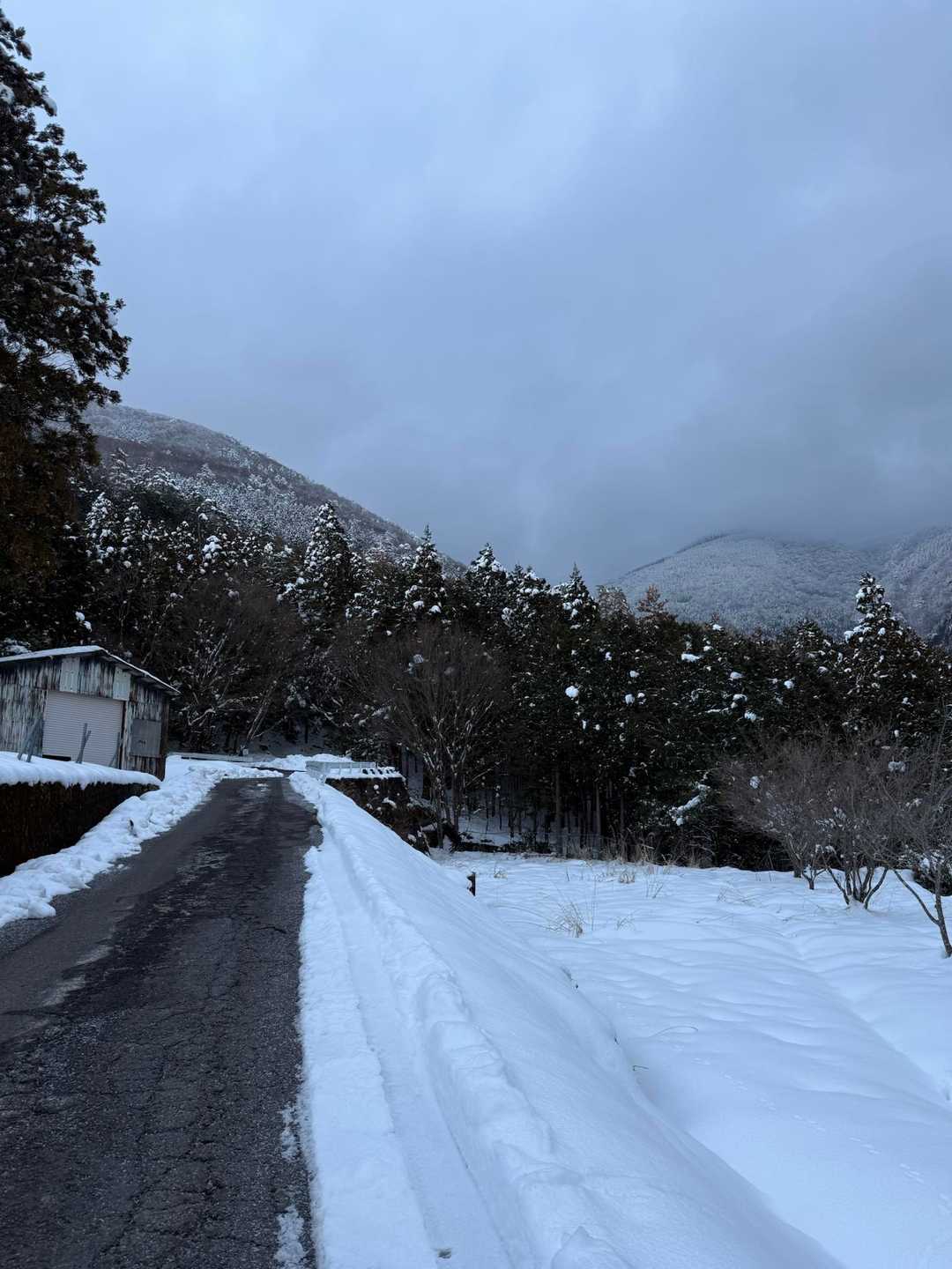 竜王山登山口-竜王山 往復コースの写真