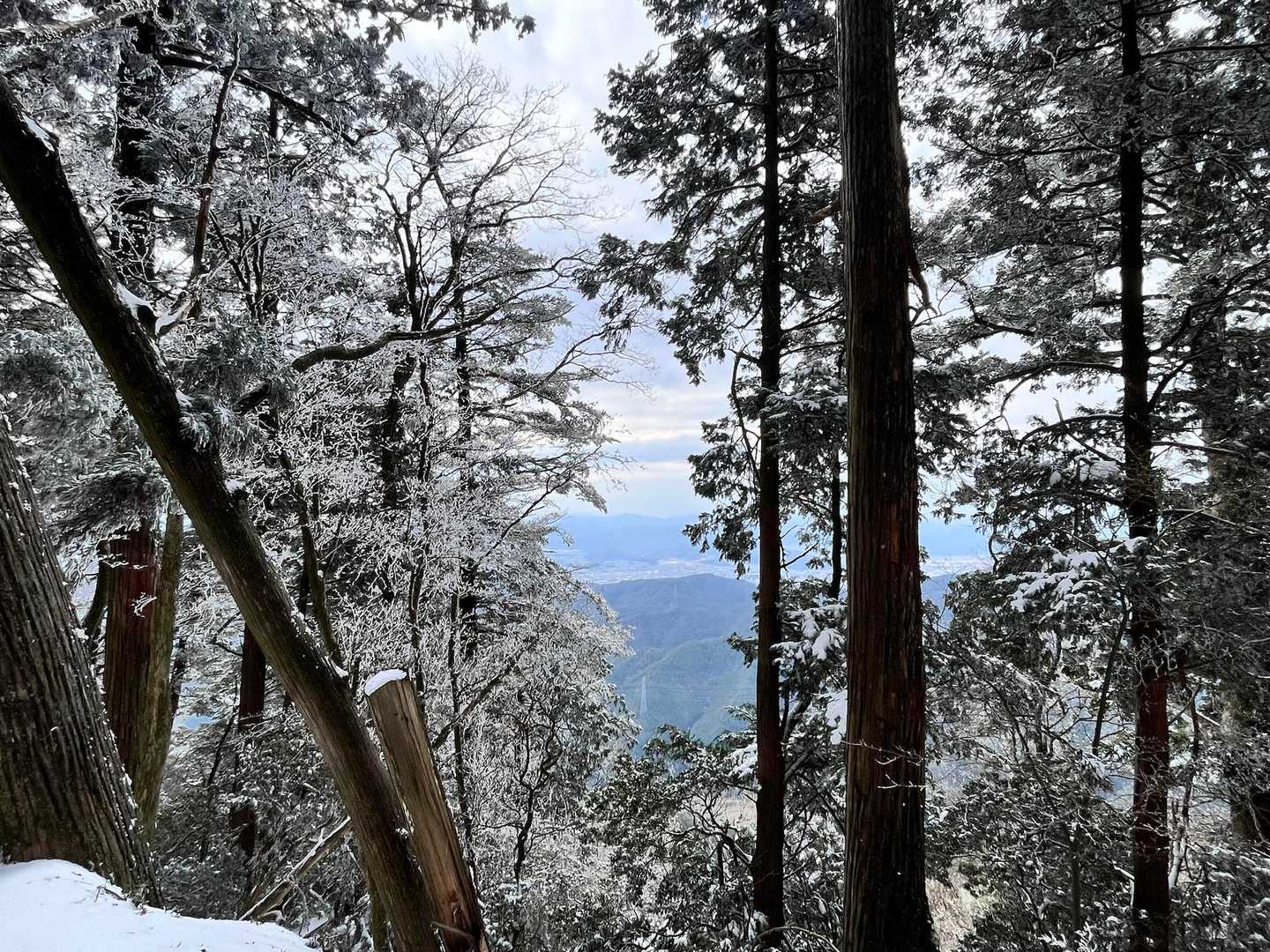 荒神峠-愛宕山 往復コースの写真