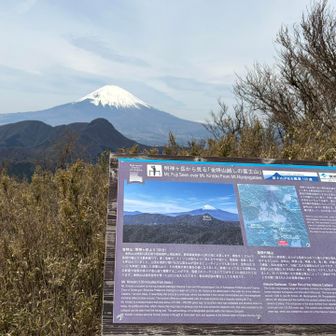 金時山越しの冨士山🗻