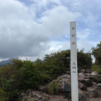 水沢山山頂
