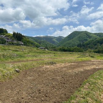 寺坂棚田