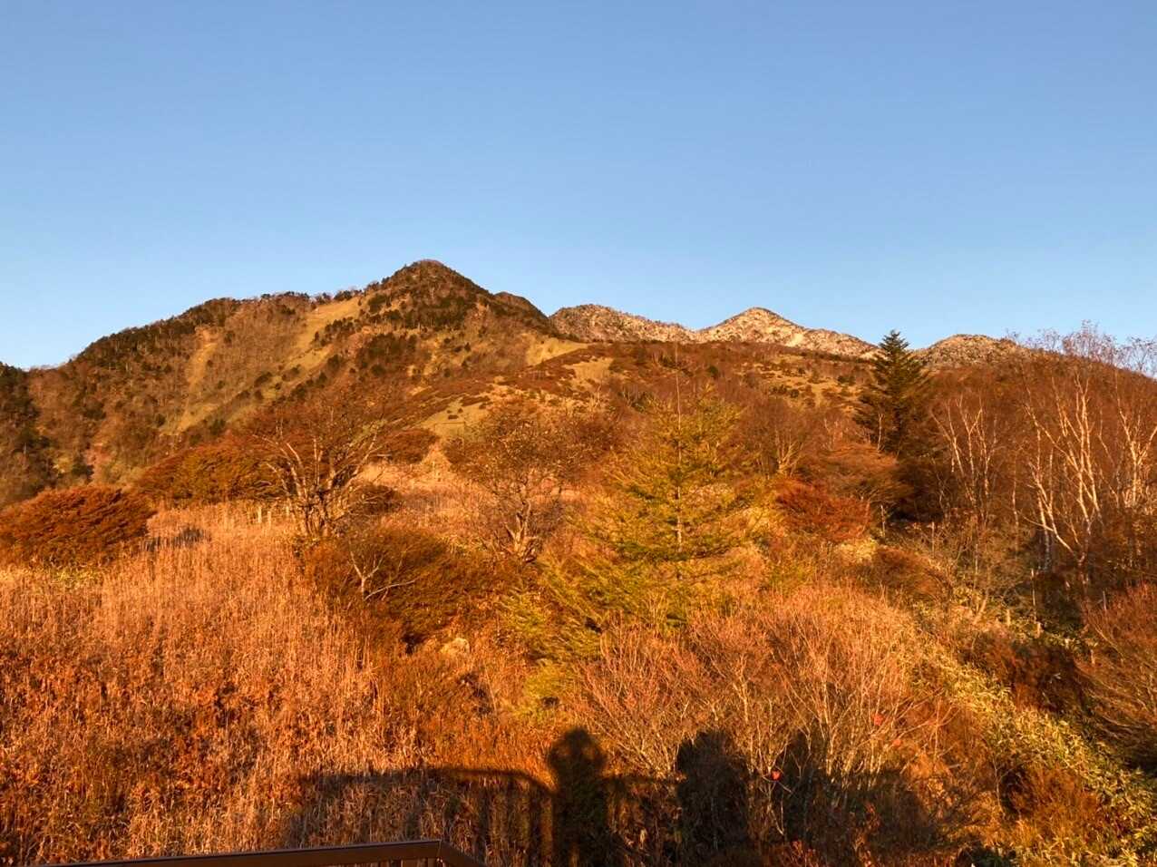 赤薙山の写真
