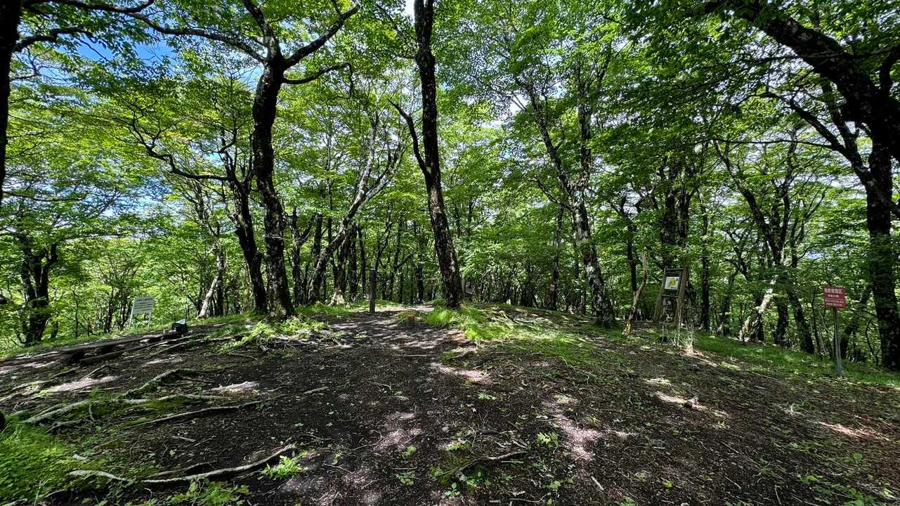 富士箱根トレイル／セクションハイク（三国山〜湯船山〜不老山〜駿河小山駅）＋鉄砲木ノ頭 の写真 10