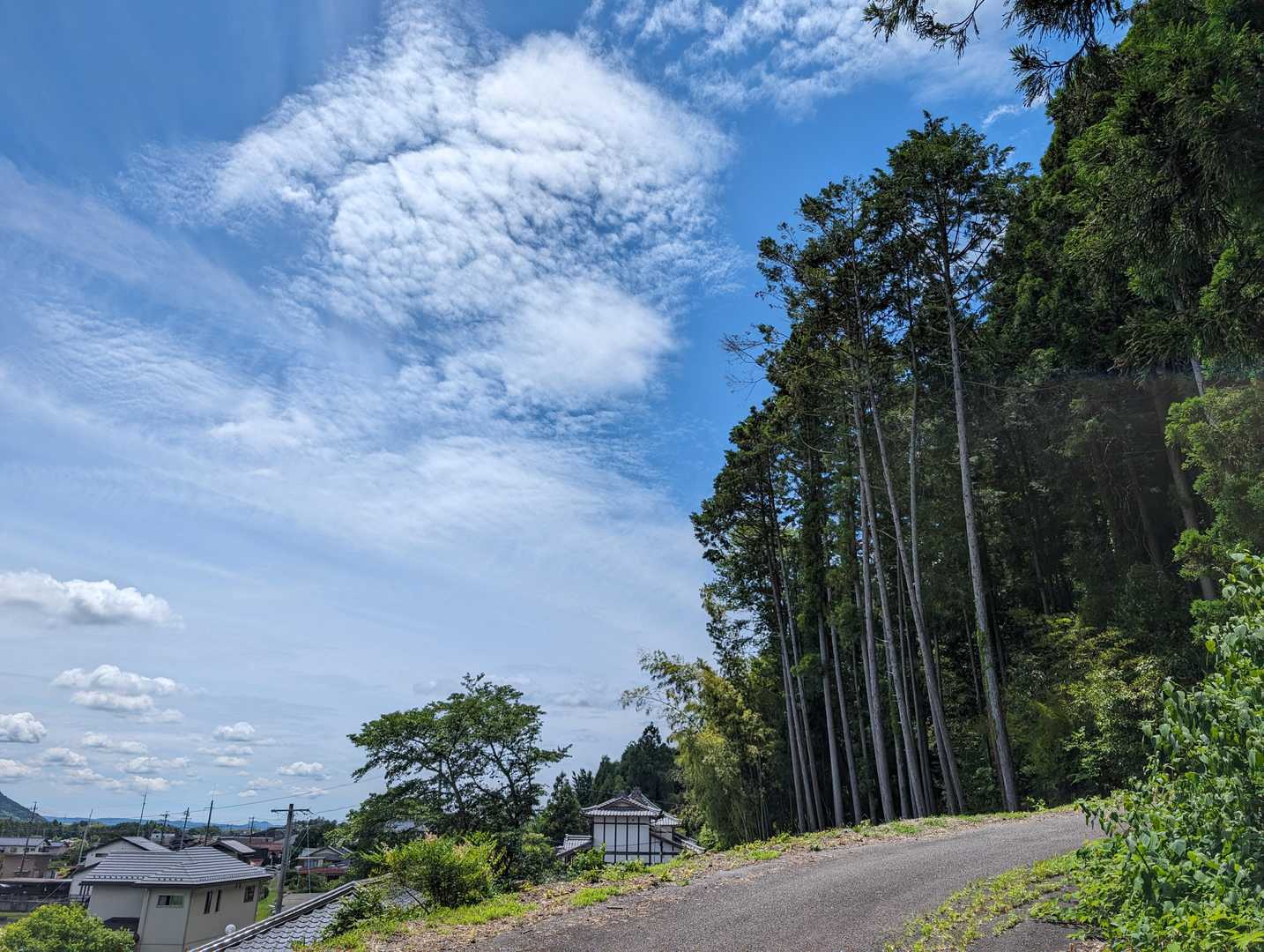 気持ちの良い空。