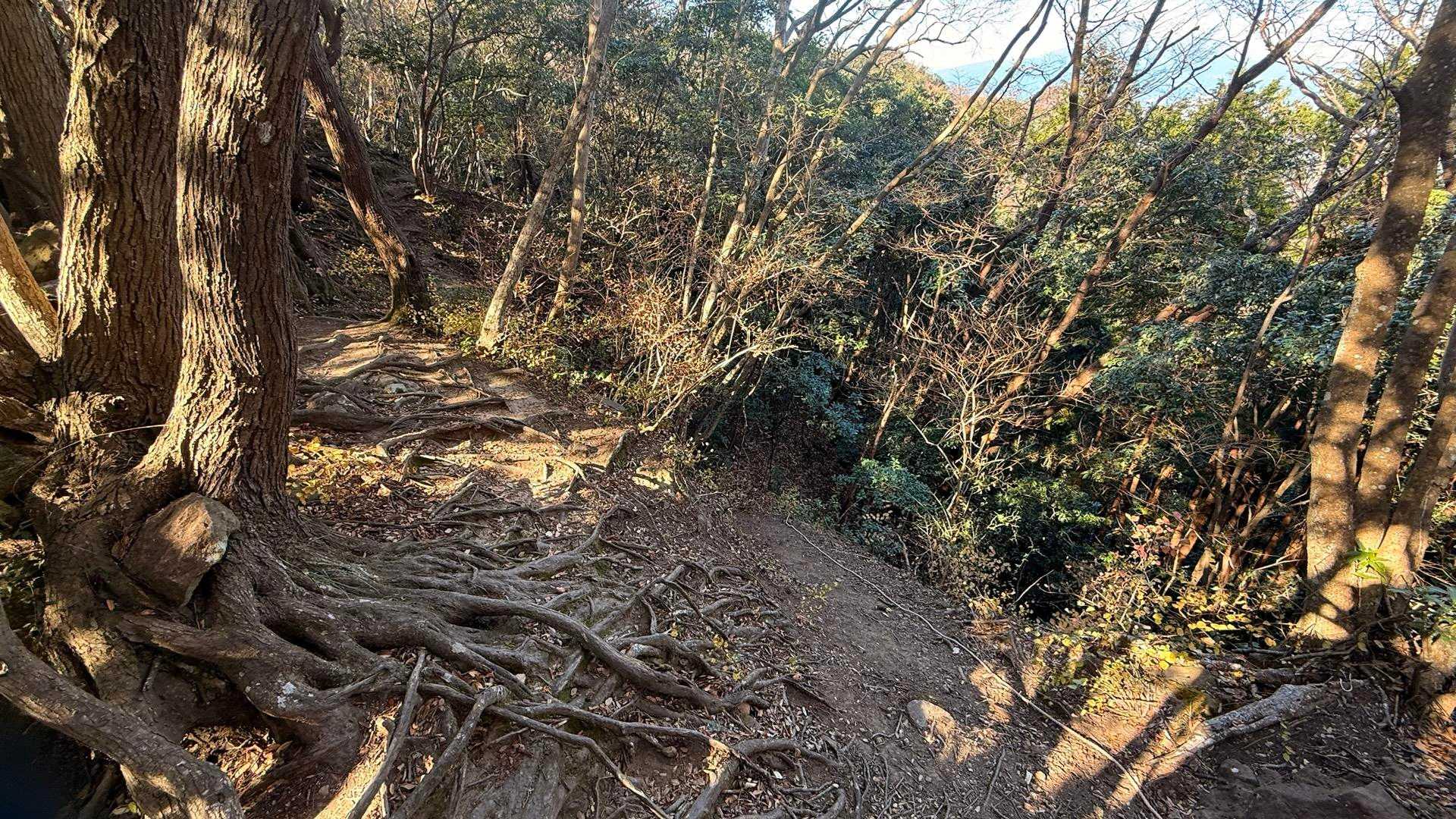 この右下のザレ場に垂れてるロープに釣られて降りてしまったら道がなくなってヤバいと登り返す。このまま尾根歩きで問題なかったとこ。