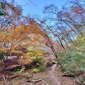 ピトンの小屋とお手洗い棟の裏にでた