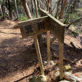 分岐来た箕川って方にｲｸ
磐石の丘へ寄り道する😙

