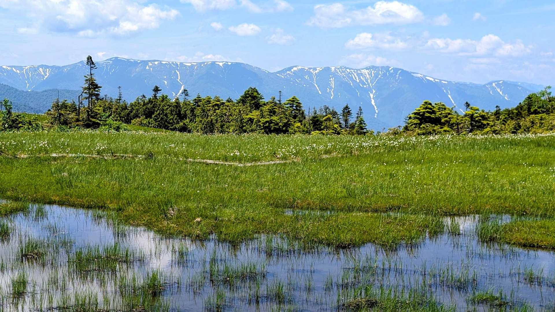 猿倉登山口-田代山 往復コースの写真