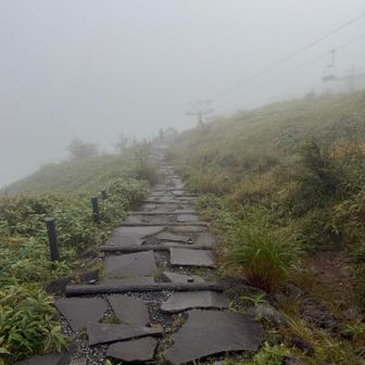 次がありますので
諦めて下山します🥺