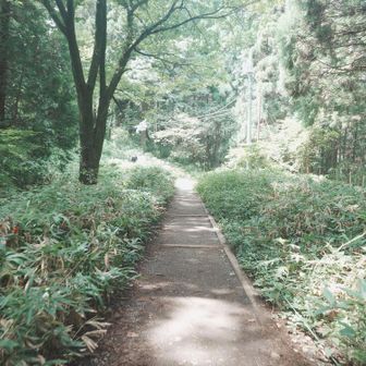 登山道