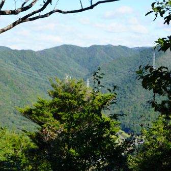 西鎌倉山につながる鉄塔