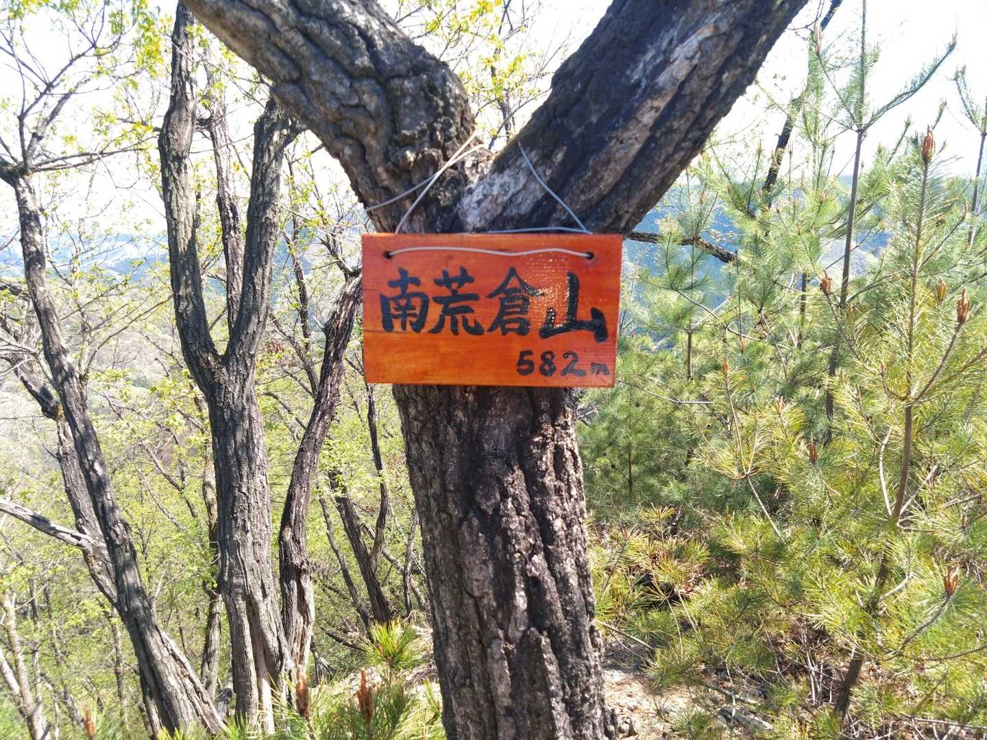 南荒倉山登頂💪