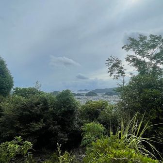 佐伯の街並みが少しずつ見えてきた