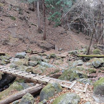 沢を渡ります。いよいよ本格的な登りかな