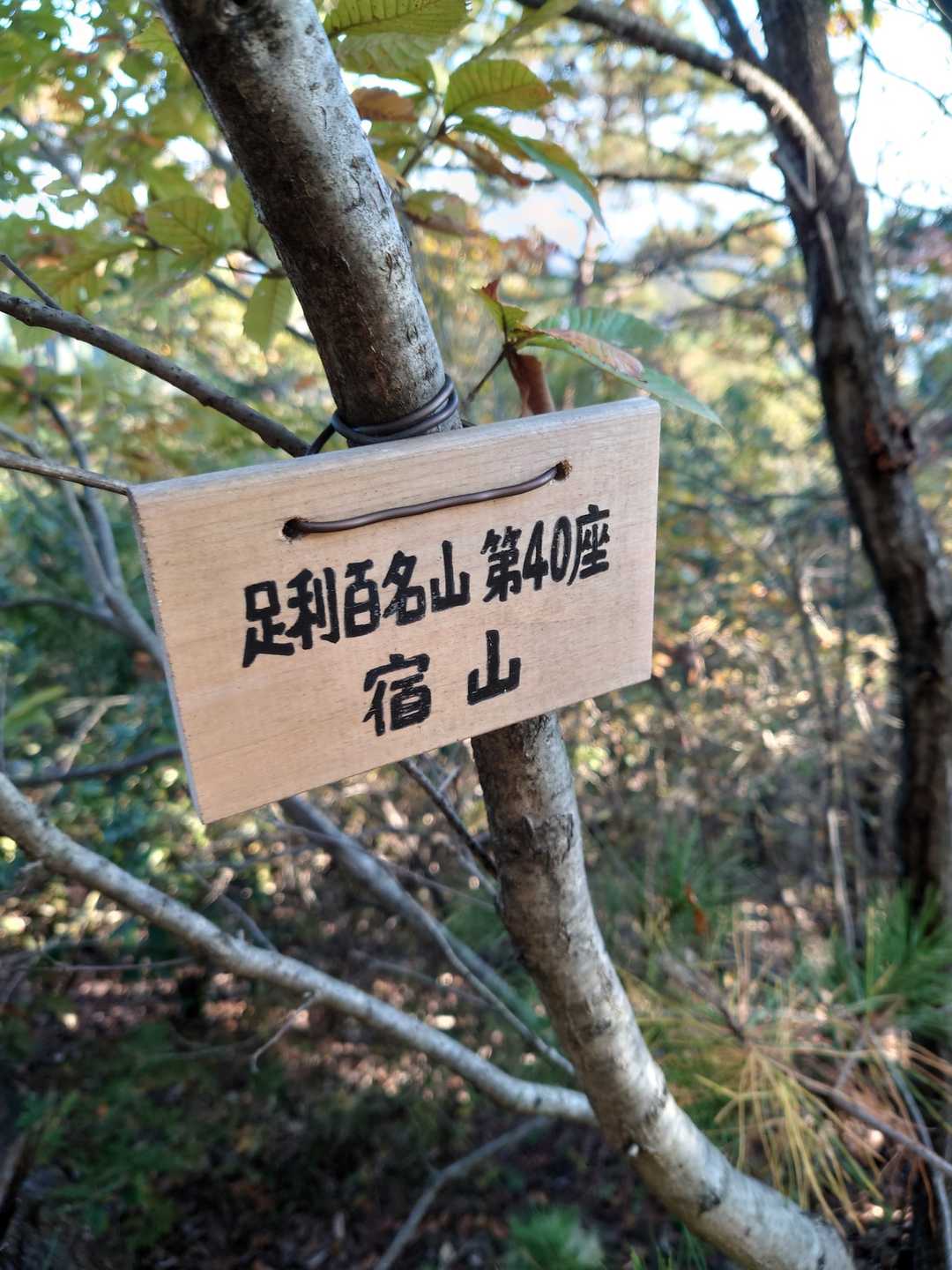 宿山