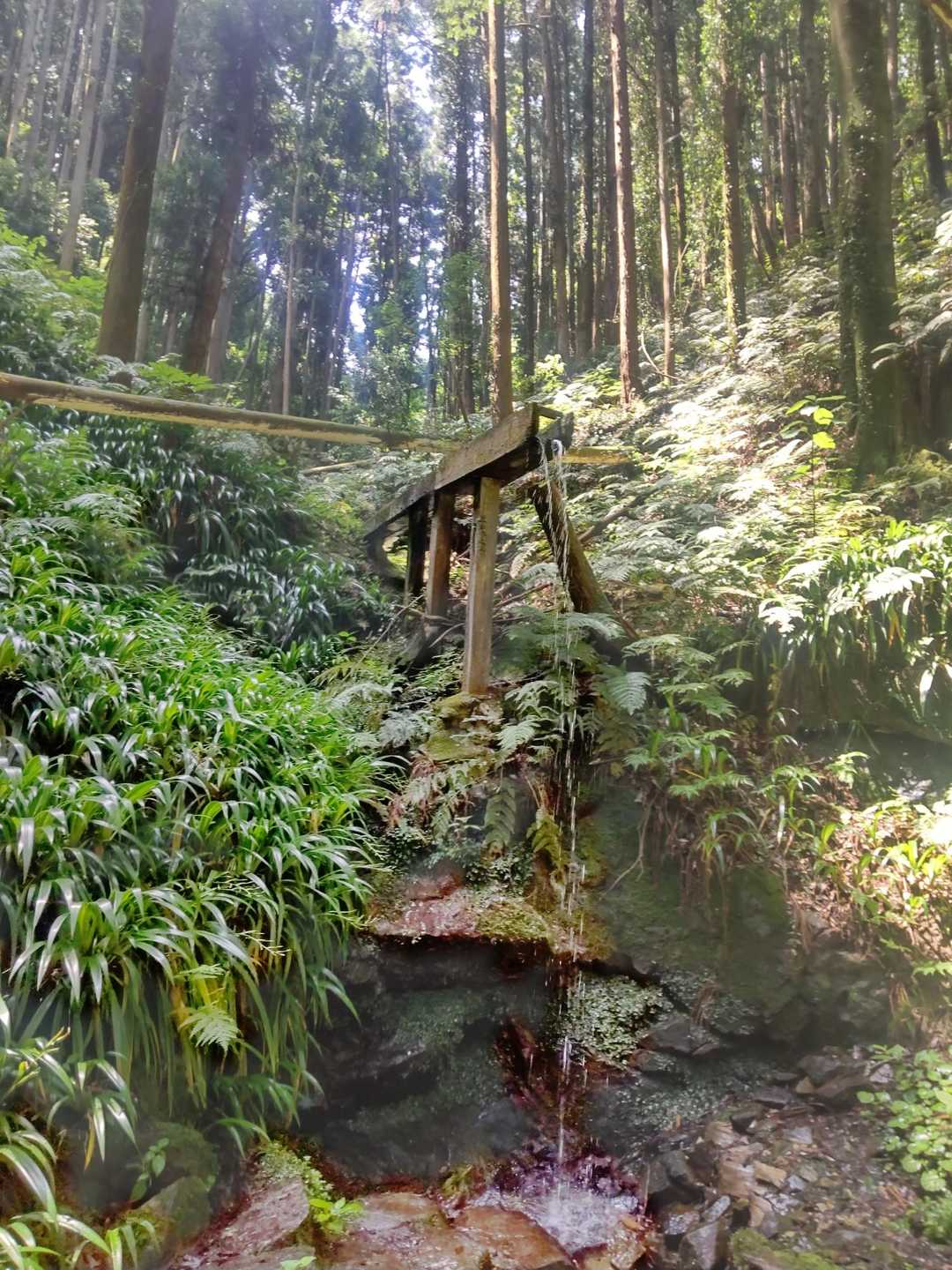 色々整備されている