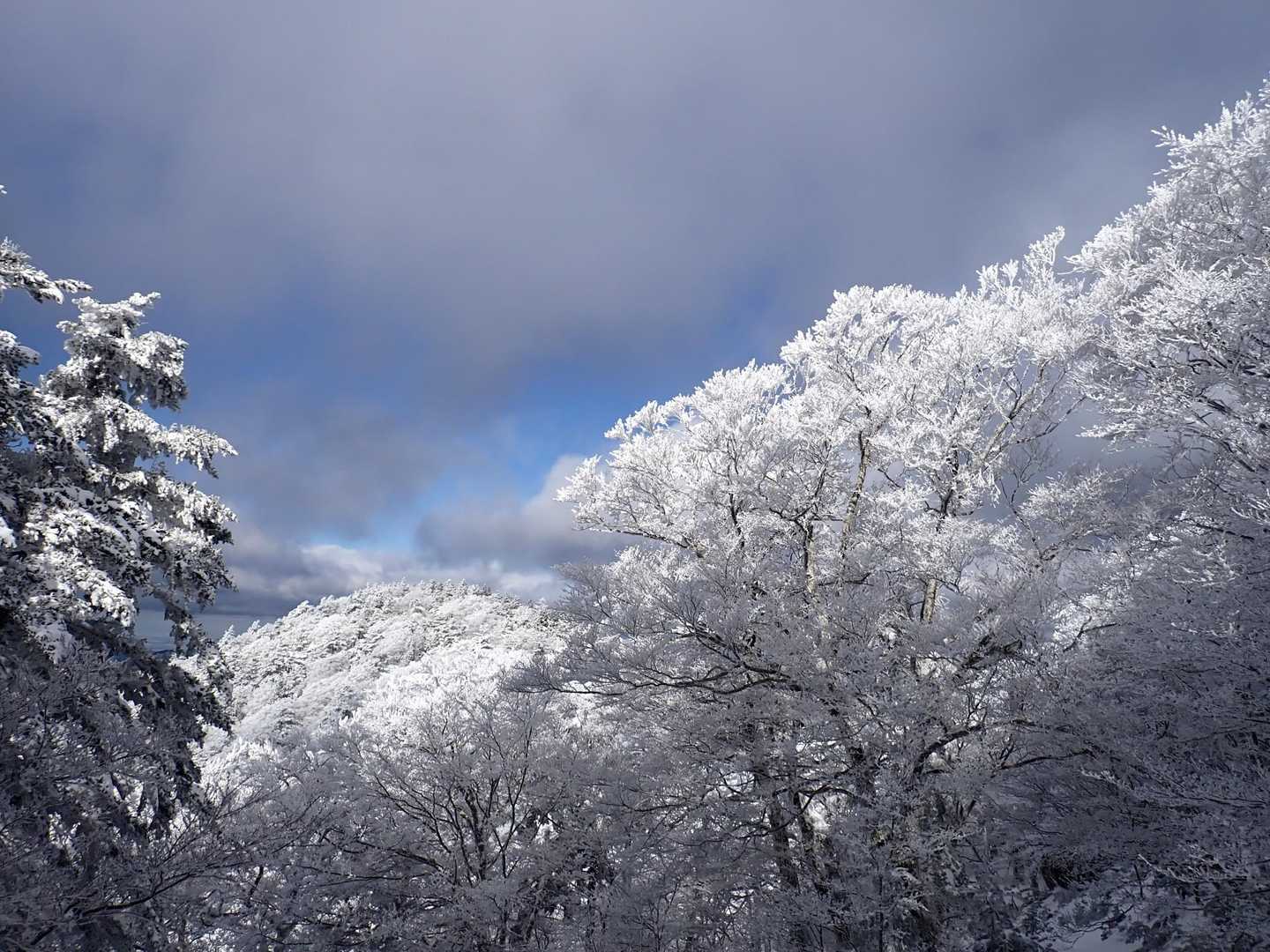 熊渡登山口-細尾山-八経ヶ岳-弥山 往復コースの写真