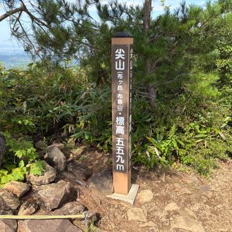 山頂は沢山の人。