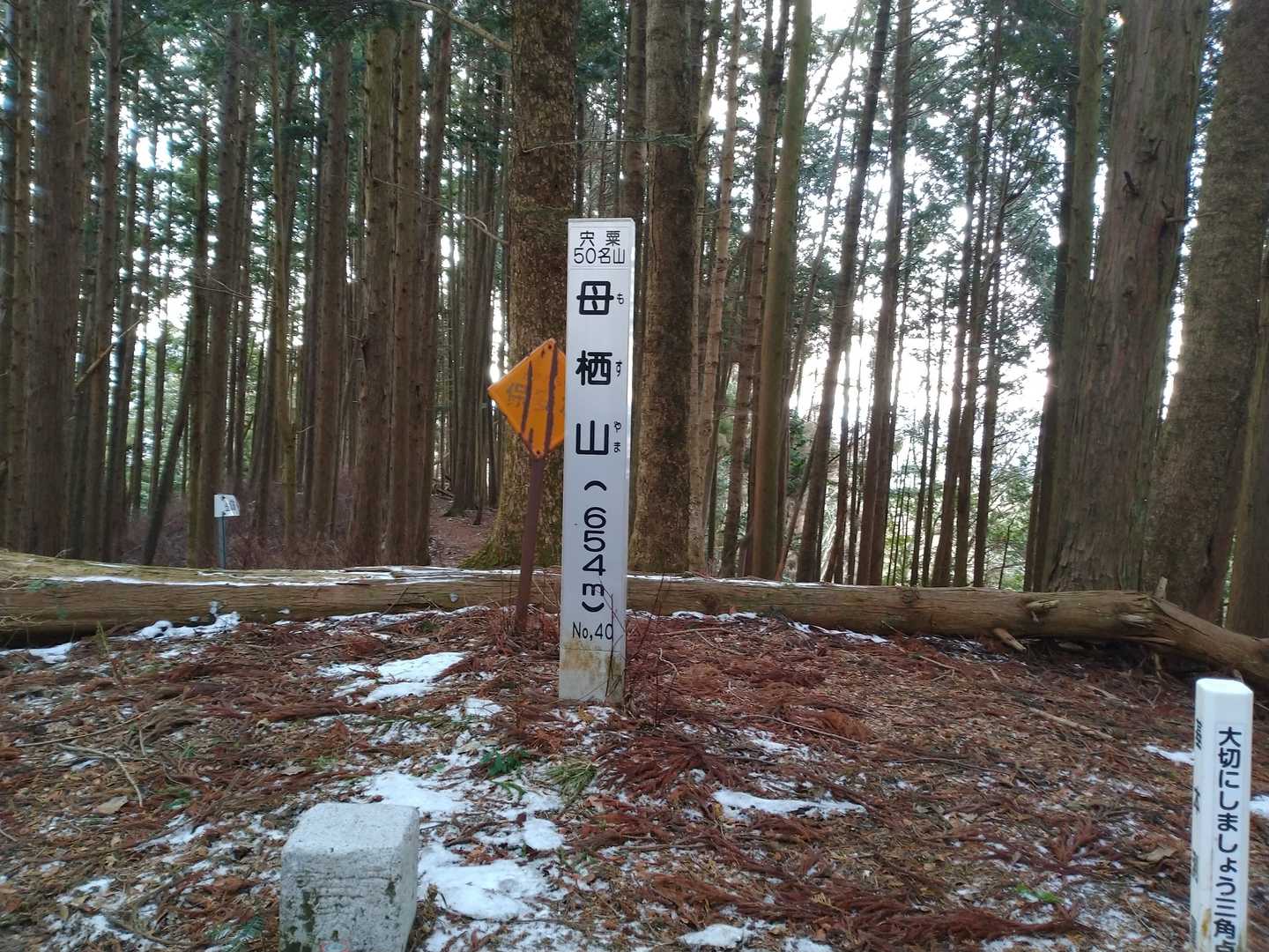 母栖山　山頂
