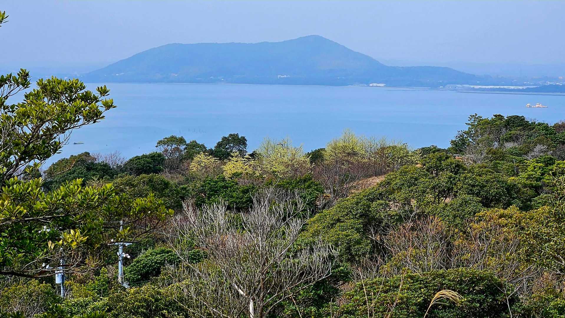 兜山古墳のアオモジを見下ろして、対岸のあの山は〰…
日ノ山かな⁉️