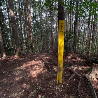 三座目のマスガタ山
高圧線の表示のアングルの裏面にマジックで山名が書かれてた😅