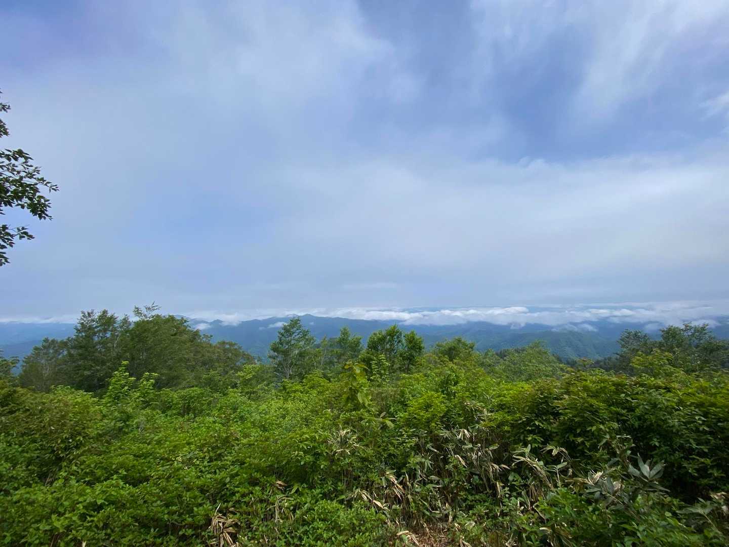 志津倉山登山口-志津倉山 周回コースの写真
