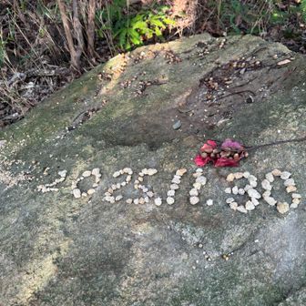 行きは見過ごしてた☝️