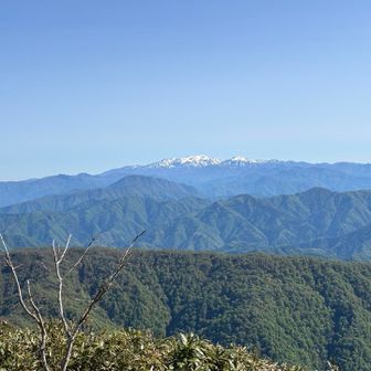 白山が！