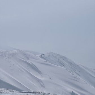 門内小屋も目視できた。