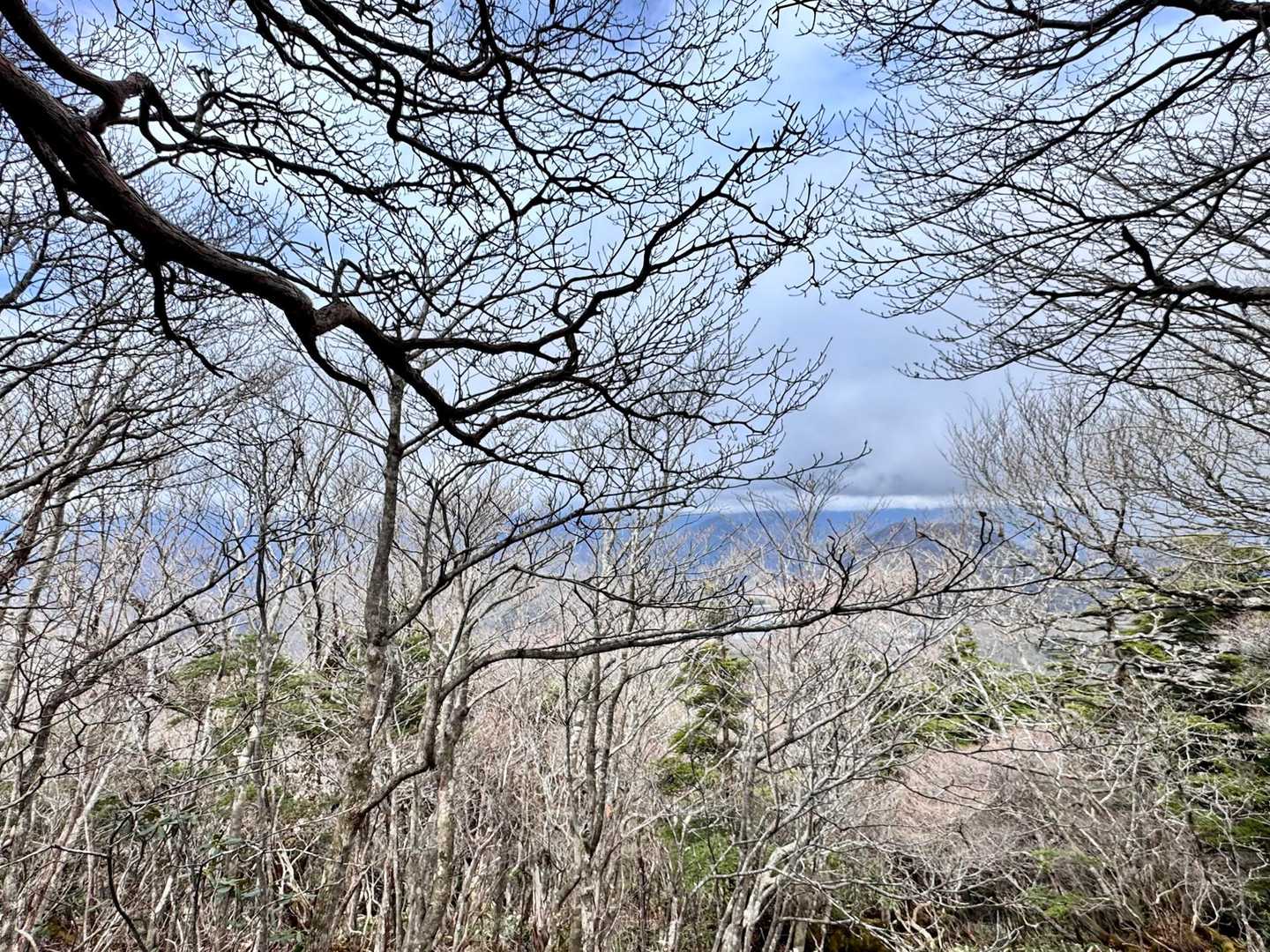 雲が多い😅午前中勝負!