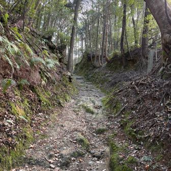 昔の人も参拝に登っていたのね