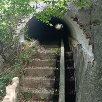 トンネルをくぐって行きます。こういうポイントも好きです😊