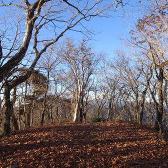 ５つ目のピーク