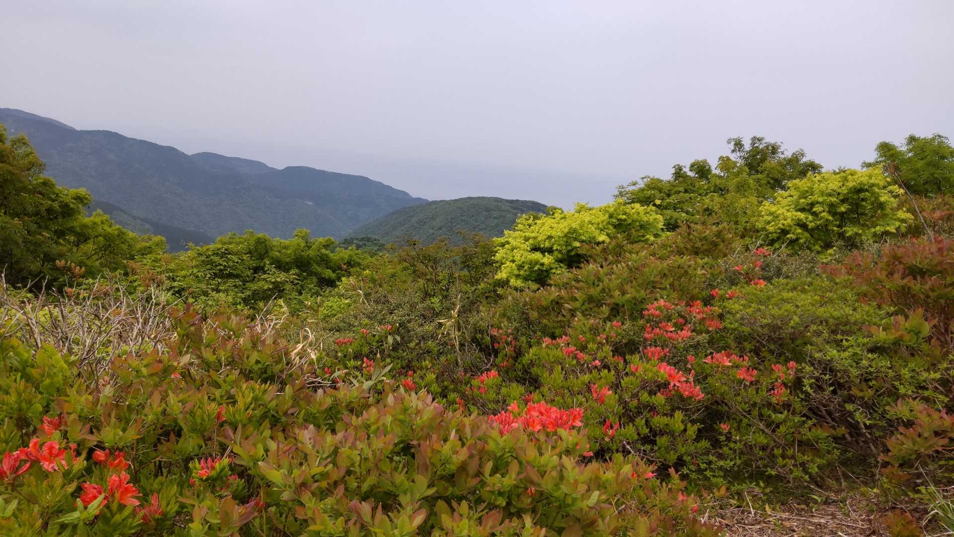 少しどんよりだけど、景色見えて良かった(´；ω；｀)