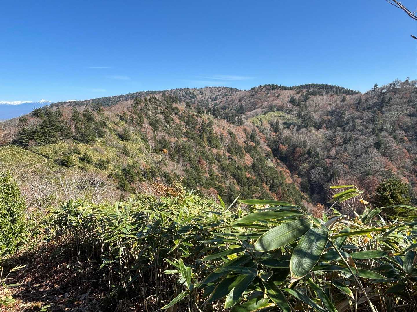 位山。平らです