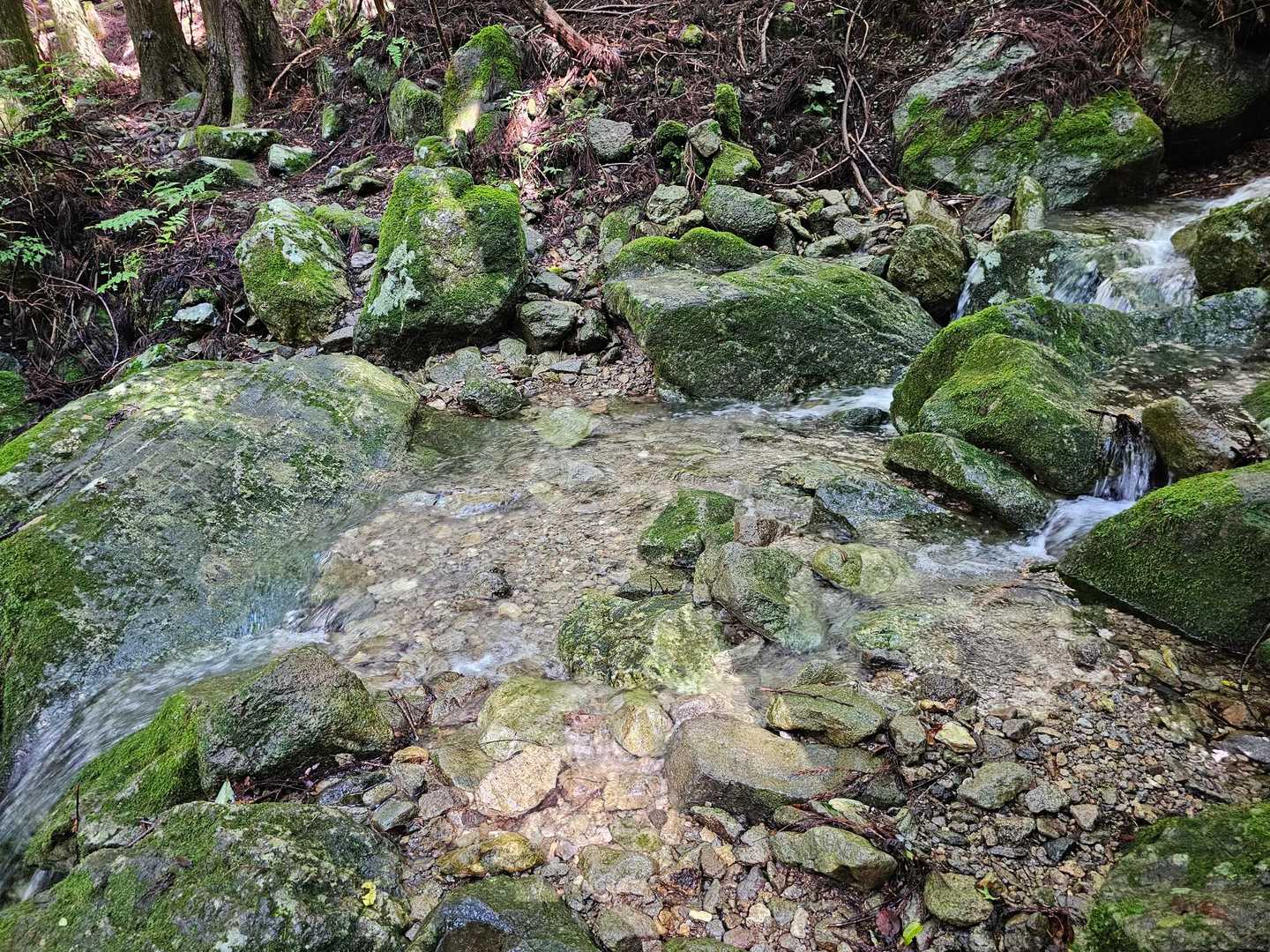 何時もは水が無いのに、沢に水が流れいてドボンしないように渡る