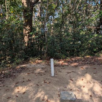 とうちゃこ（＾ν＾）
操山頂上🎶