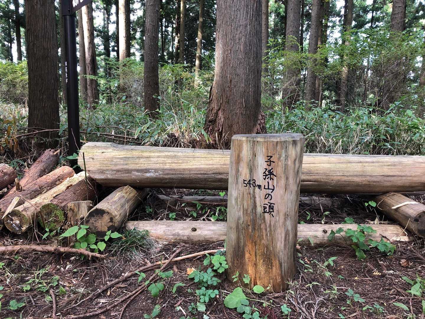 孫山