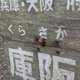 四差路　天王方面が気持ちよさそう　行ってみたいけど置き足と正反対なのであきらめ