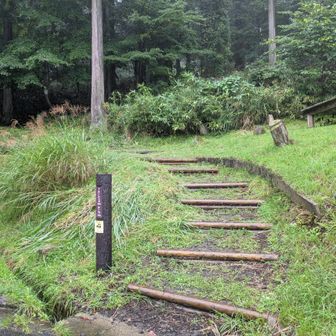 登らない　氷ノ山越登山口へ