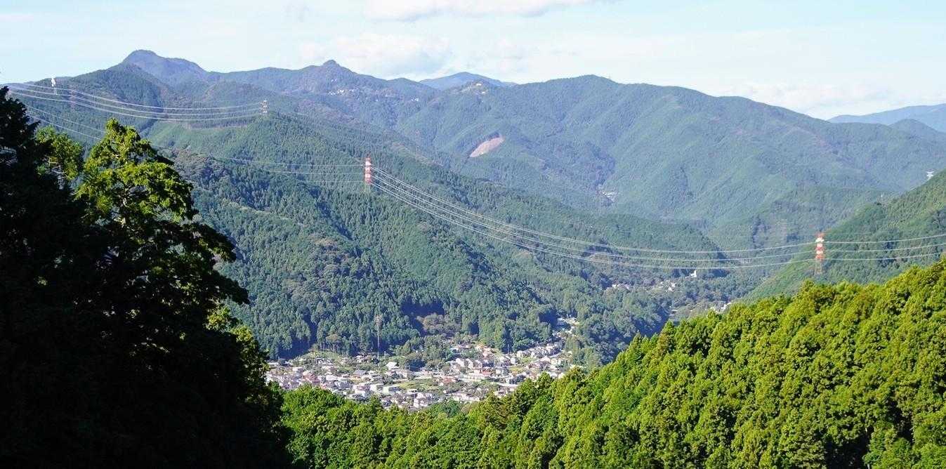 大岳山~奥の院~御岳山~大塚山
の稜線
