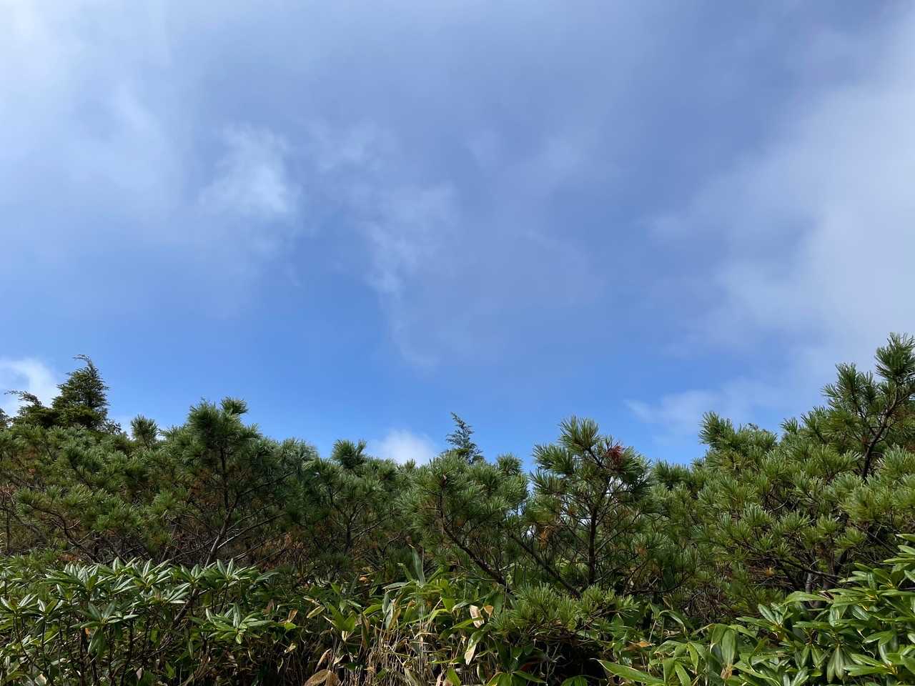 あれっ、見て‼️青空が顔を出してる😍