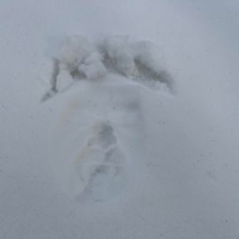 一応顔拓してみたけど、鼻しか分からん
見つけた人怖いやろな🤣

今日は何もネタないし、レポ上げんとこ🤭
下山して🚗で🍙食べてたら、誰か降りて来た
私以外にも登山者さん居たんやね

えっ⁉️あれっっっ⁉️と二度見😳