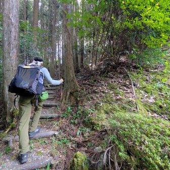 わりと涼しくて気持ち良い　けれどヒルがいた