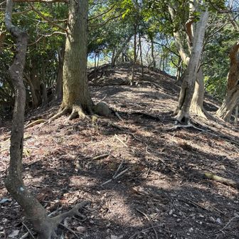 行入富士までの急登が一番効きました。