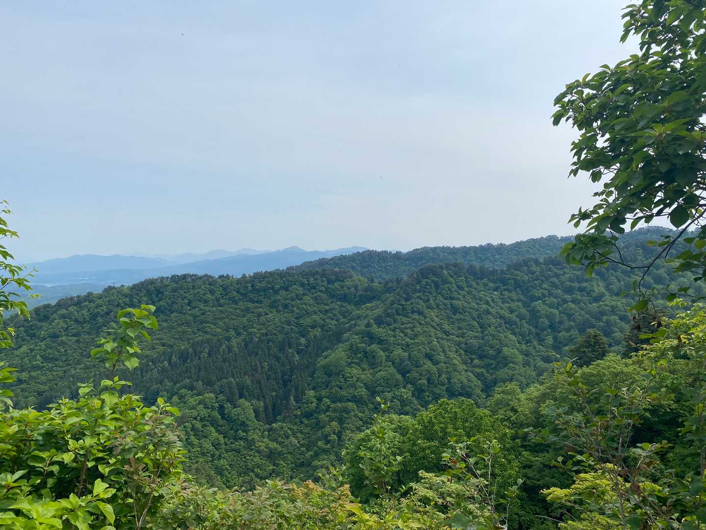 途中から眺められた山⛰