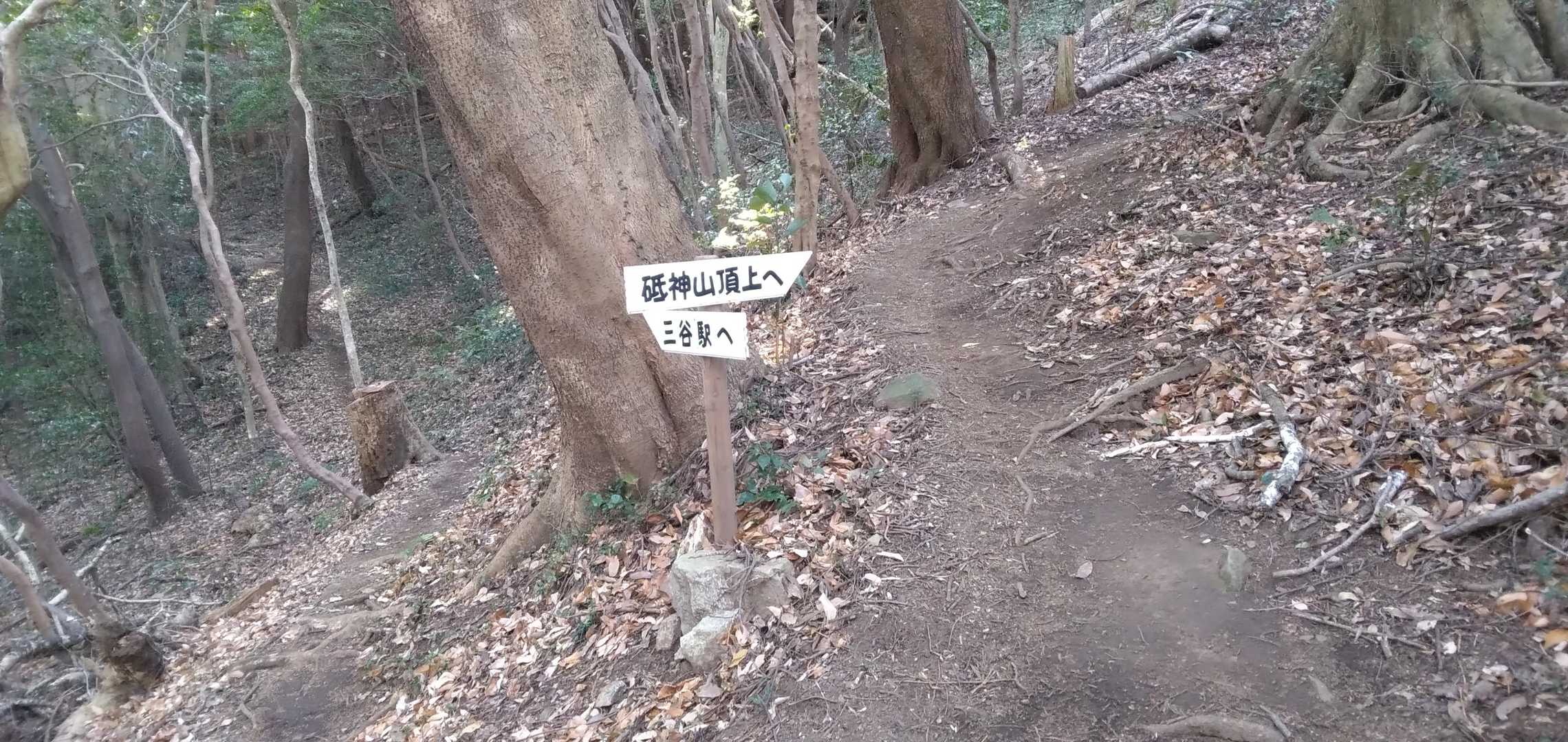 砥神山に向かって‥てくてく‥🚶‍♂️🚶‍♀